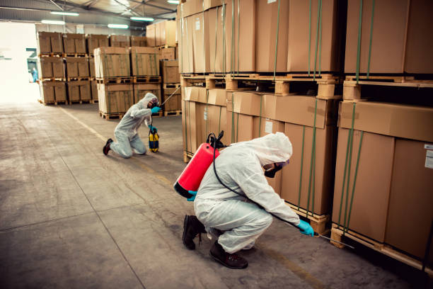 Best Cockroach Control Services  in Water Mill, NY