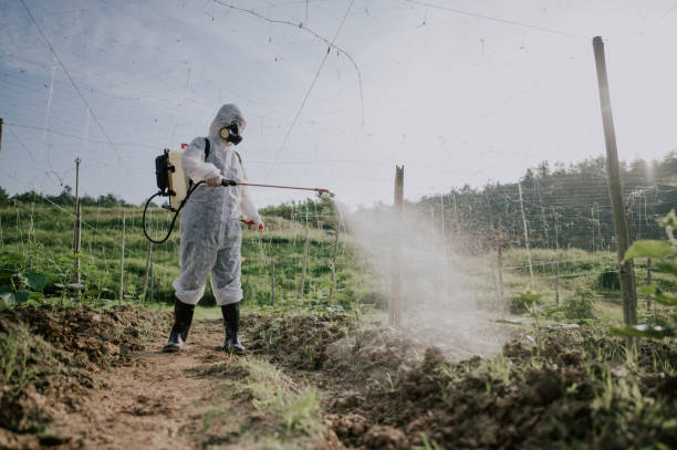 Best Mosquito Control Services  in Water Mill, NY