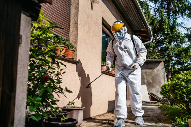 Best Termite Control Services  in Water Mill, NY