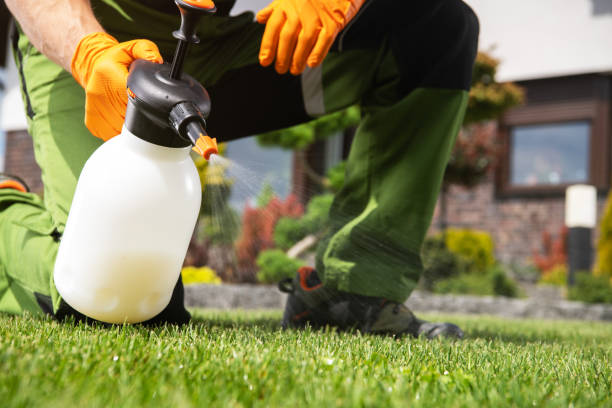 Best Local Pest Control Services  in Water Mill, NY