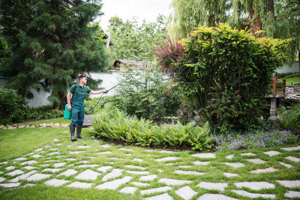Best Pest Prevention Services  in Water Mill, NY