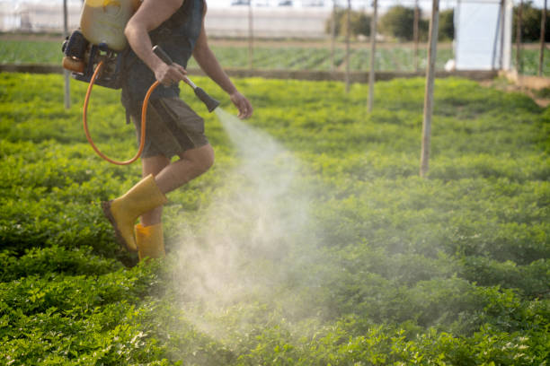 Pest Prevention Services in Water Mill, NY
