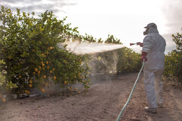 Best Commercial Pest Control Services  in Water Mill, NY