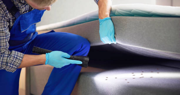 Best Best Pest Control Companies  in Water Mill, NY