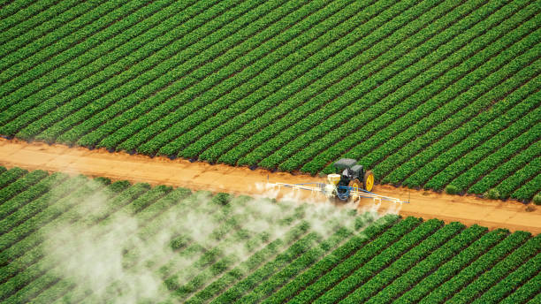Best Cockroach Control Services  in Water Mill, NY