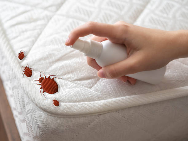 Best Pest Removal Services  in Water Mill, NY